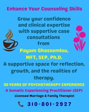 ./Professional_Case_Consultations__400x__1790657127608
